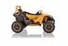 Pojazd Buggy Arctic Cat WILDCAT XX Złoty